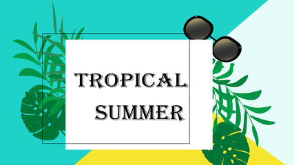 Tropical summer background vector