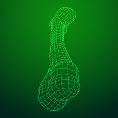 Anatomy Dog Bone object. Wireframe low poly mesh vector illustration