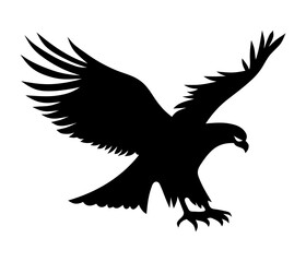 Eagle attacks