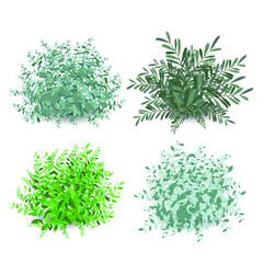 Set of green garden shrub bushes. Nature green seasonal growth grass, botanical greens, herbs and leaves. Natural fence by plants with Various Shape. Vector illustration.