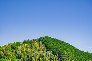 天拝湖からの天拝山