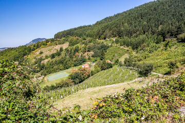 Landscape with green hills and blue sky, travel photograph, Western Serbia.