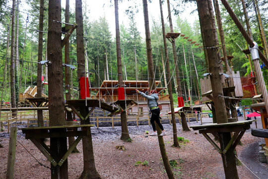 Zip World Fforest, Wales, UK