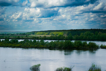 Живописные красивые места лес река и облака 