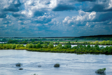 Живописные красивые места лес река и облака 