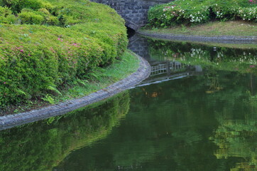 Fototapeta na wymiar 公園の池のイメージ 