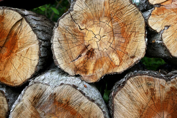 Natural wood background - chopped firewood close-up. The firewood is piled up. Annual rings on tree trunks