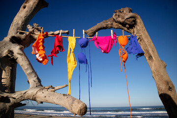  Women's swimsuit to dry on a free beach