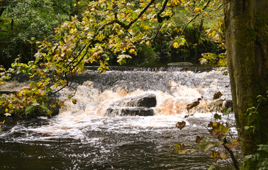 Hardcastle Crags