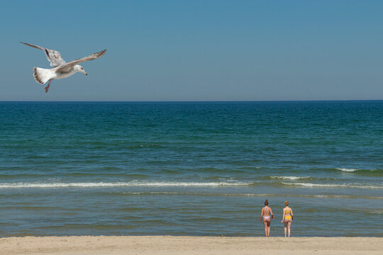 Zwei badende Frauen am Strand, im Urlaub, mit Sand und Meer und Wellen, Himmel und M&ouml;we 
