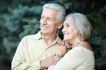 smiling senior couple  in autumn  park