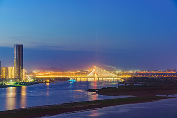 Obraz premium city skyline at night