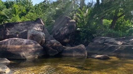 rocks in the forest