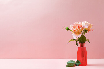 Vase with roses, pink background