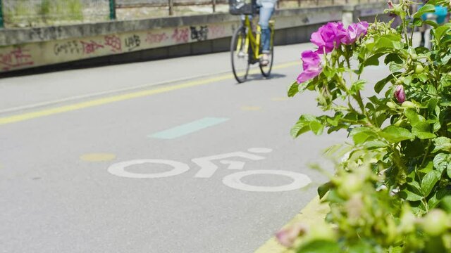 v&eacute;lo, piste cyclable, bicyclette, deux roue, skate, &eacute;t&eacute;, grenoble, nature, fleure, beau temps, ligne jaune, dessin v&eacute;lo, route, asphalte, autoroute, ligne, rue, voie, voyage, ciel, gazon, vert, paysag
