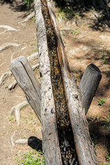 Fototapeta na wymiar Wasserleitung aus Holz, Breiten ob Naters, Goms, Kanton Wallis, Schweiz