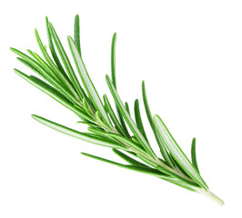 Fototapeta premium Rosemary twig isolated on white background
