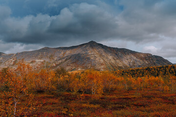Autumn tundra on the background mountain peaks in cloudy weather.  Mountain landscape in Kola Peninsula, Arctic