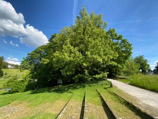 The Botanical Garden of the University of Zurich or Botanischer Garten der Universität Zürich (Botanischer Garten der Universitat Zurich - Botanischer Garten der Universitaet Zuerich), Switzerland