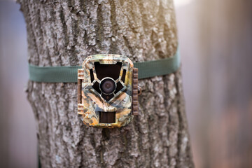 Trail camera for wildlife monitoring attached to a tree with green strap. Hidden digital trap with...