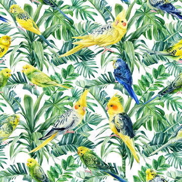 Wild tropical birds parrots and palms. Watercolor illustration, Seamless pattern