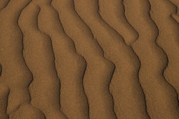 Textura de dunas en Maspalomas, Gran Canaria.