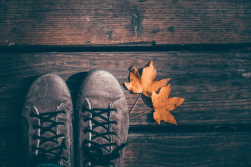 Conceptual image of legs in boots and autumn leaves.