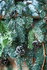 Beautiful coniferous branch. Pine branch. Needles. vertical photo