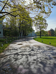 A deserted road among trees and pavilions in the morning in a park on Elagin Island in St. Petersburg.