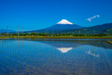 富士山　棚田　リフレクション