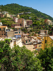 Fototapeta na wymiar Old city with roof and purple flower in Cinque Terre National Park in Italy on city hill.
