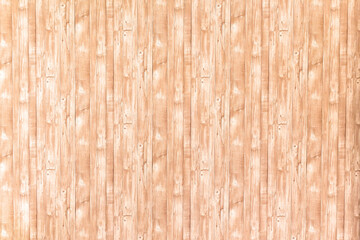 Bamboo pattern background with free space. Beautiful painted Surface design banners.