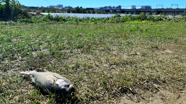 The Riverbed Of The Tama River After The Typhoon In Japan.