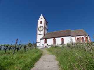 Bergkirche St. Moritz in Hallau