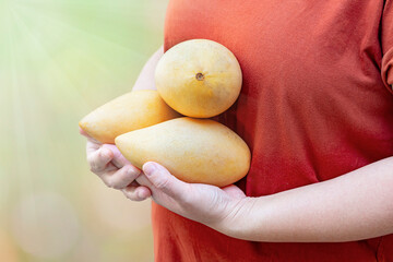 Woman holding ripe mango 