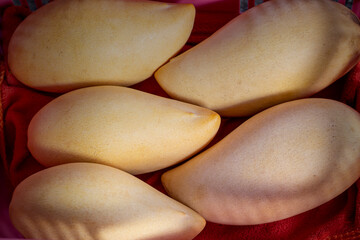 Ripe mango in a basket on white background. 