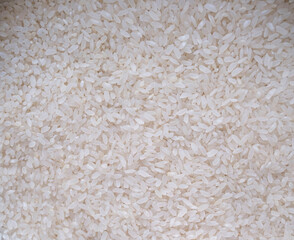 rice texture background, close up and macro