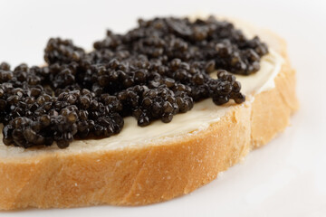 Real, not imitated, beluga caviar on bread with butter