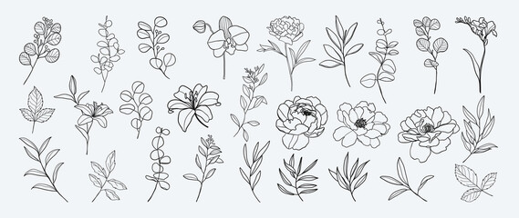 Minimal botanical hand drawing design for logo and wedding invitation. Floral line art.  Flower and leaves design collection for bouquets decoration, card and packaging background.