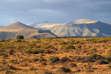 desert aride en afrique