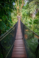Suspension bridge, walkway to the adventurous, cross to the other side.