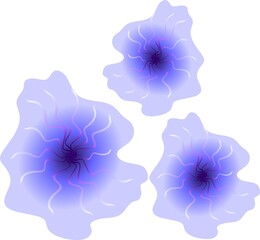 Petunia flowers are beautiful purple. Petunias in a pot on a suspension. Petunia is alone. Petunias flower arrangement. Bouquet of petunias. The flower is white and purple. The petunia plant. 