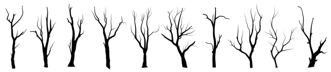 Obraz premium Set Black Branch Tree or Naked trees silhouettes vector. Hand drawn isolated illustrations.