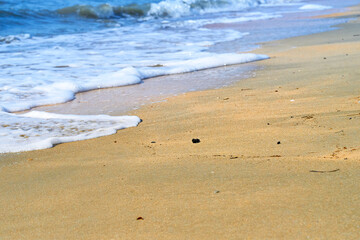 Sand beach. Sea shore. Sunny day.
