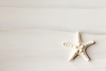 Fototapeta na wymiar Starfish on a light background. Summer background. The concept of travel. Copy space.