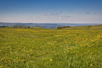 Weite Landschaft Rhön