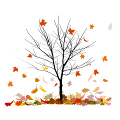A bare tree is autumn with falling leaves. Vector illustration