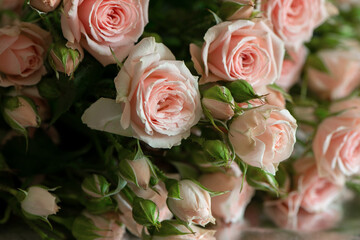 Bunch of fresh cutted pink roses, floral background