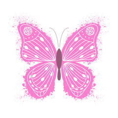 Fototapeta na wymiar Pink butterfly on white