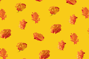 pattern made with fresh orange and yellow illuminating roses on the summer yellow  background. abstract art. creative decoration minimal background pattern
